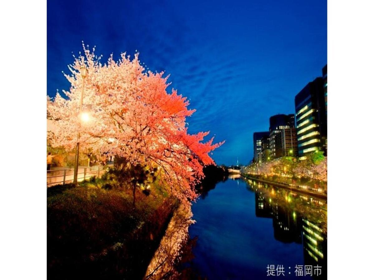 Court Hotel Fukuoka Tenjin - Vacation Stay 42334V Ngoại thất bức ảnh